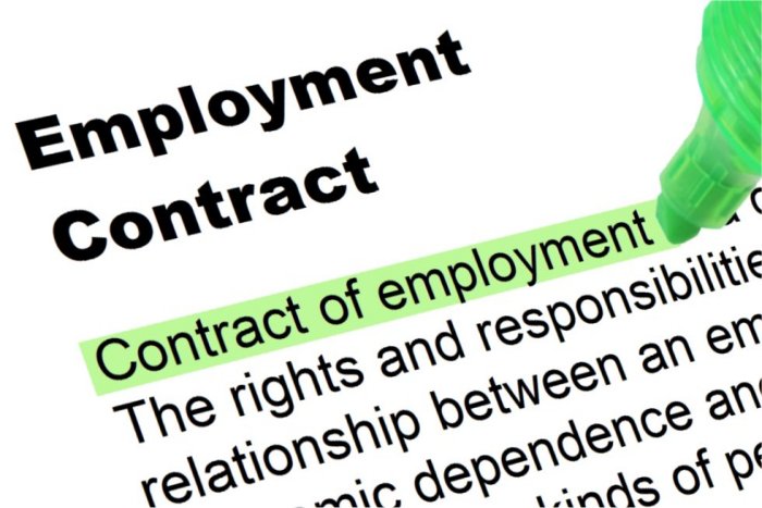 Employment Contract - Highlighted Words and Phrases
