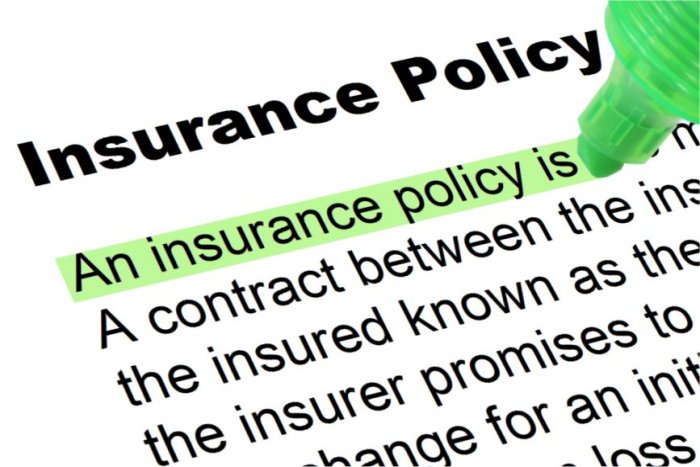 Insurance Policy - Highlighted Words and Phrases