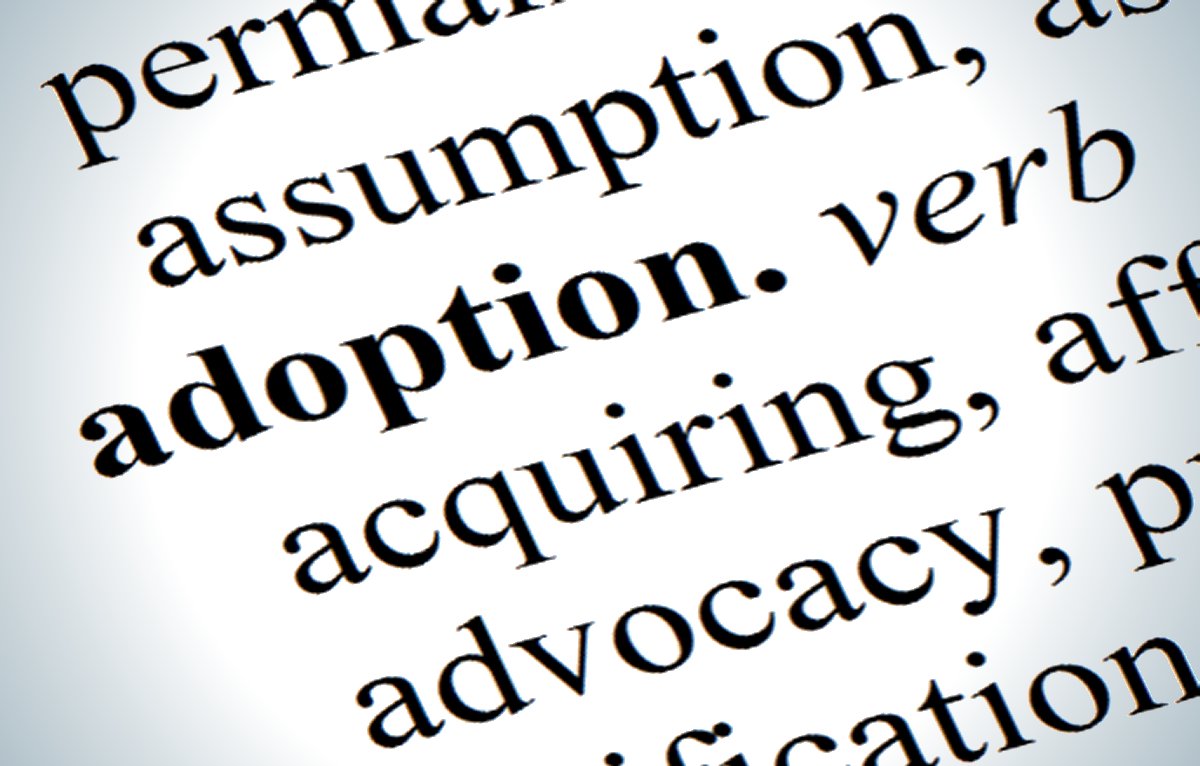 Persuasive essay on adoption