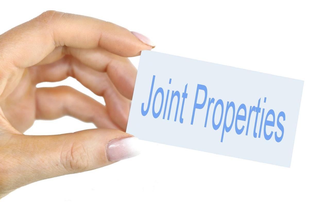 Joint Properties