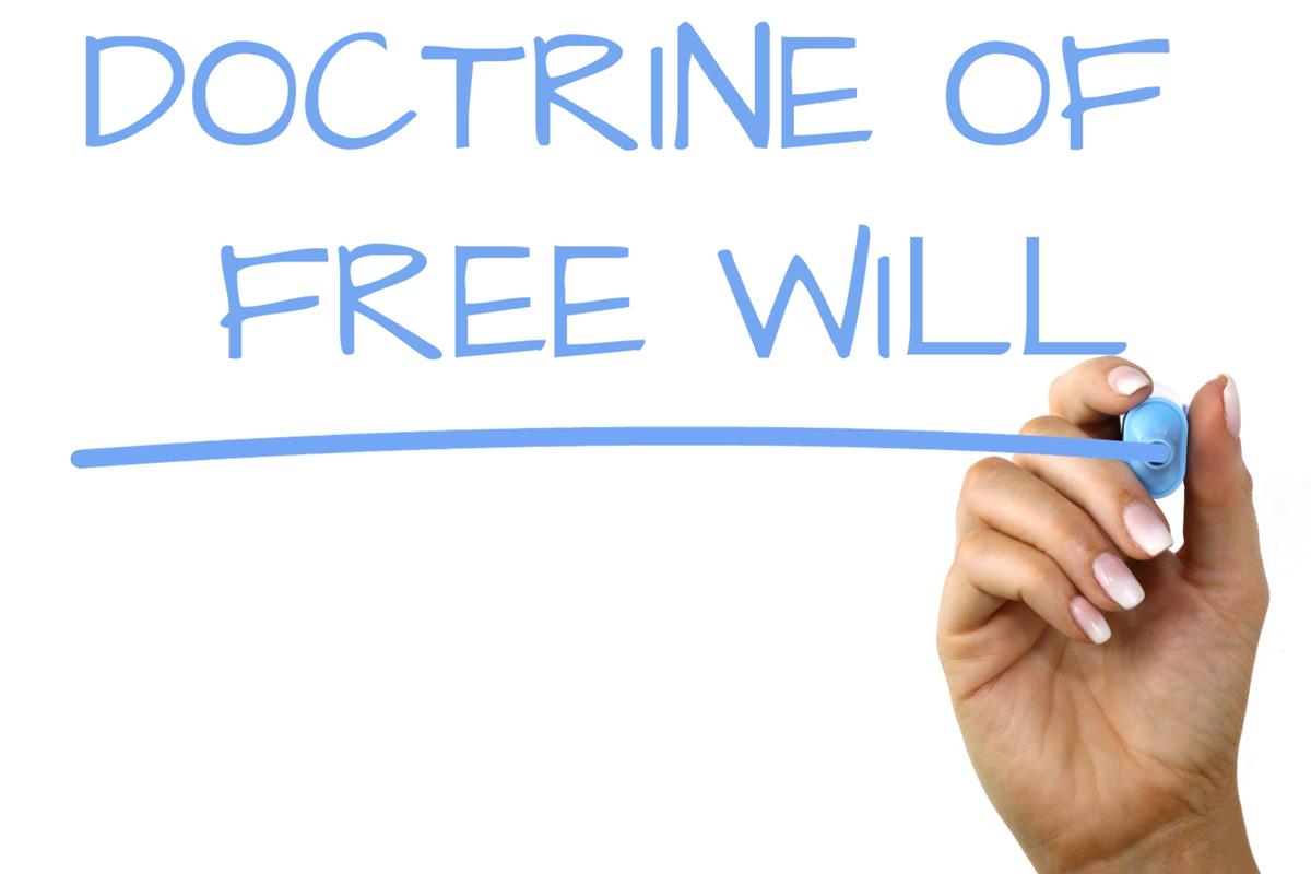 Doctrine Of Free Will